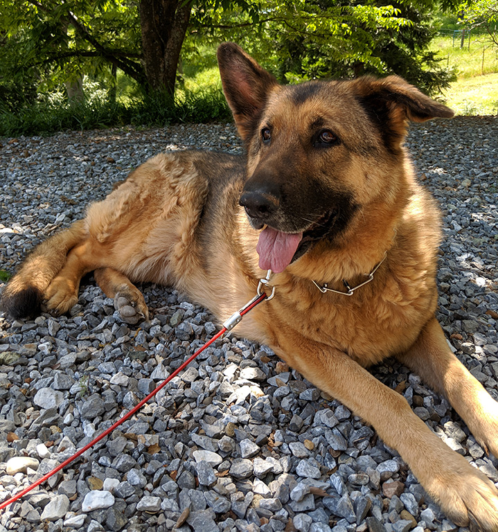 Kaia